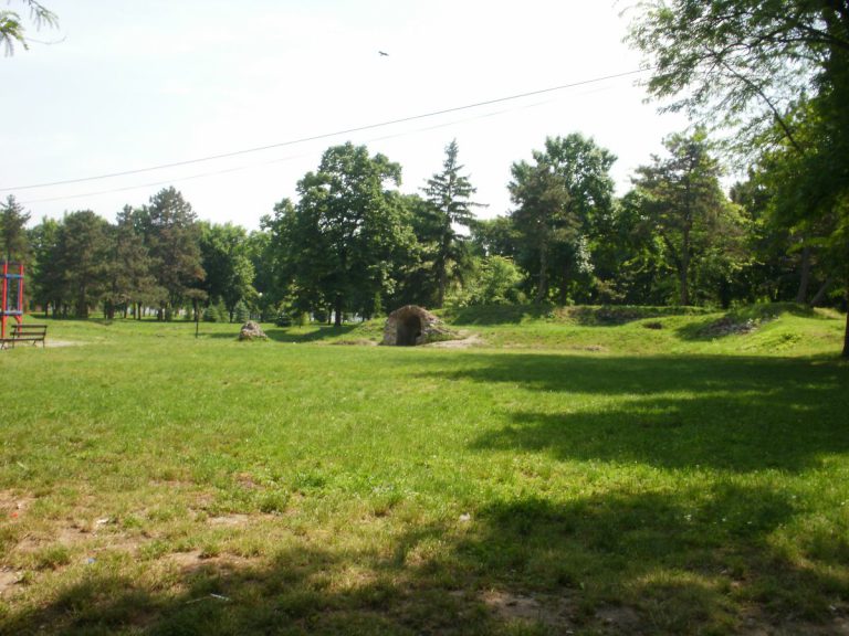 Slide Image