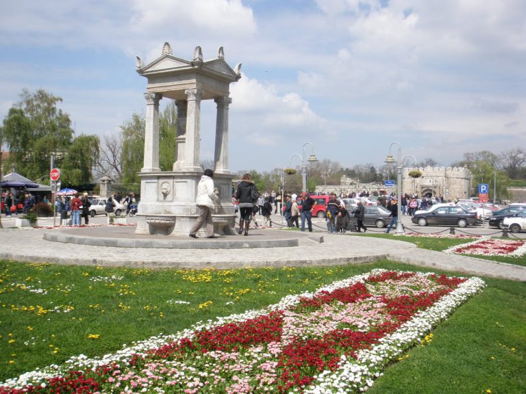 Slide Image