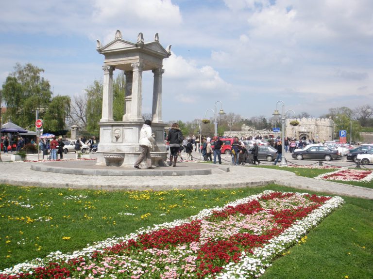 Slide Image