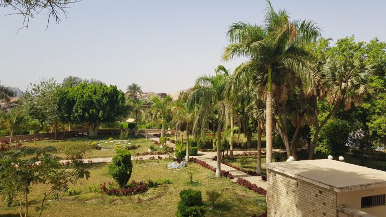 Slide Image