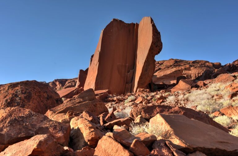 Slide Image